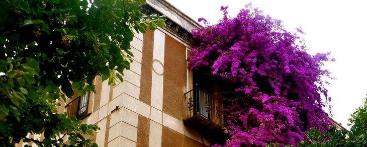 Sarrià building flowers