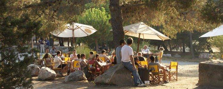 shady terraces caseta del migdia