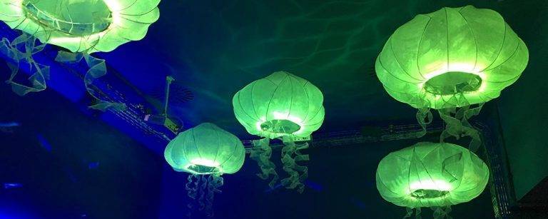 Verne Restaurant: enjoy tapas 20000 leagues under the sea