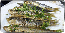 barceloneta quarter fish