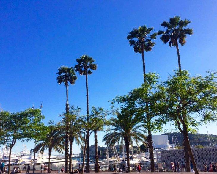 activities in Barcelona: our top tips