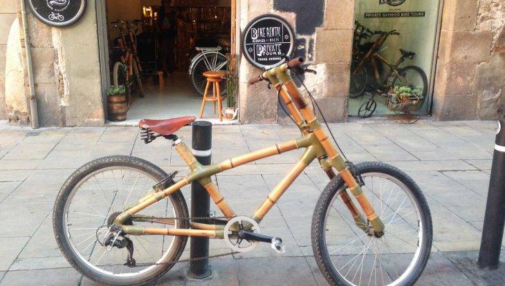 bicycle street art tour, bamboo bike